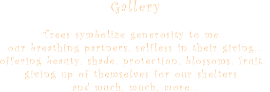 
Gallery

Trees symbolize generosity to me...
our breathing partners, selfless in their giving...
offering beauty, shade, protection, blossoms, fruit...
giving up of themselves for our shelters... 
and much, much, more...