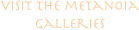 visit the metanoia galleries