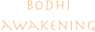 bodhi
awakening
